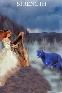Blue rose