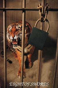 Animal Tarot