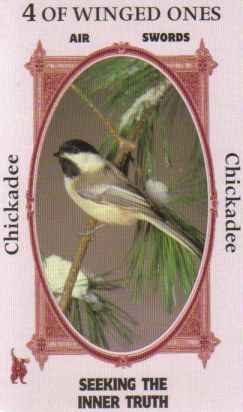 Animal Wise Tarot