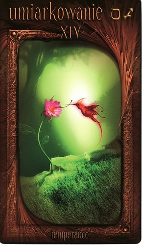Maroon Tarot
