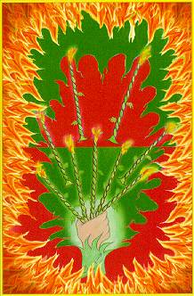 Aura Soma Tarot