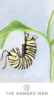 White Sage Tarot