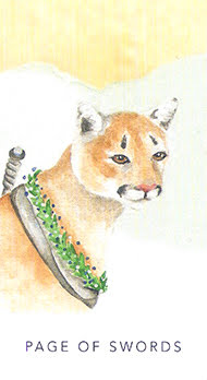 White Sage Tarot