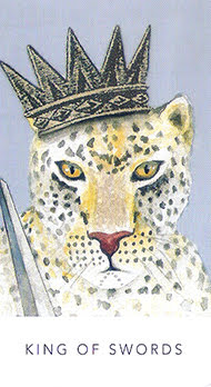 White Sage Tarot