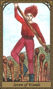 Daum Tarot