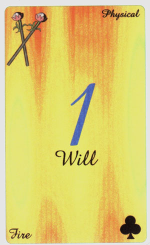 Analytical Tarot