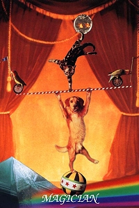 Animal Tarot