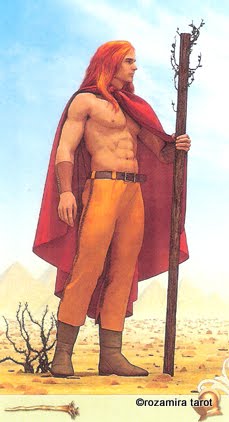 Viceversa Tarot