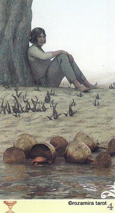 Viceversa Tarot