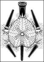 Ironwing Tarot