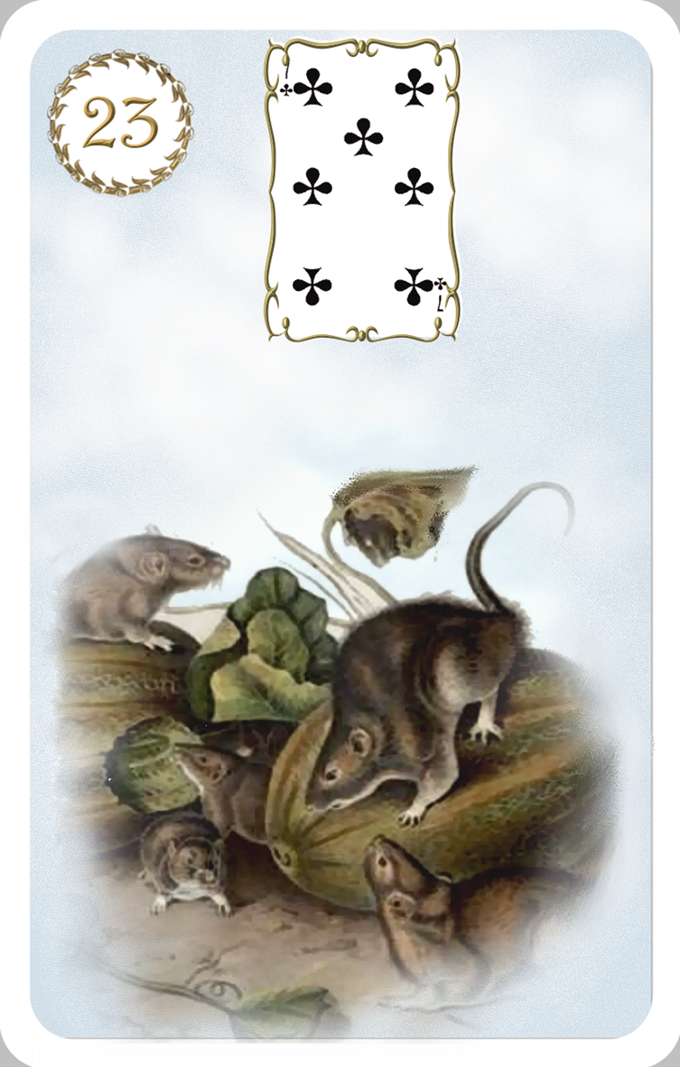 Alone΄s Vision Lenormand Cards