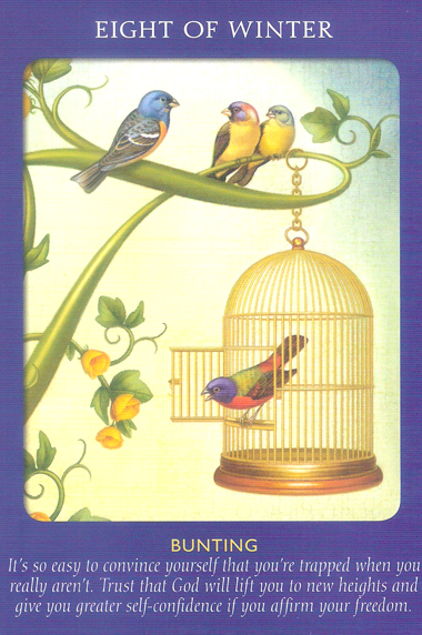 Animal Tarot Cards