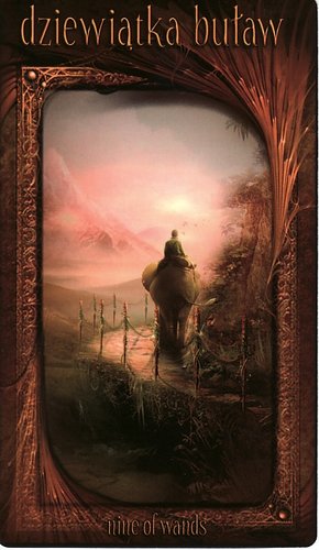 Maroon Tarot