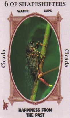 Animal Wise Tarot