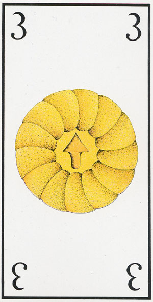 Maddonni Tarot