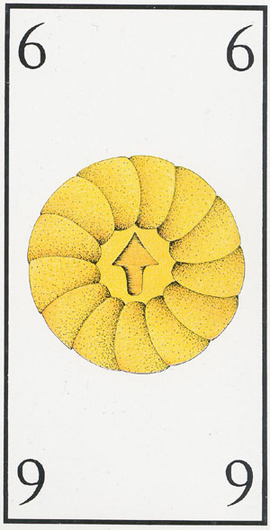 Maddonni Tarot