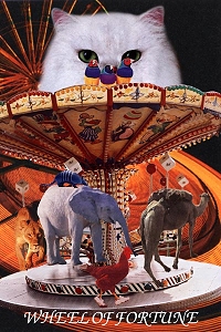Animal Tarot