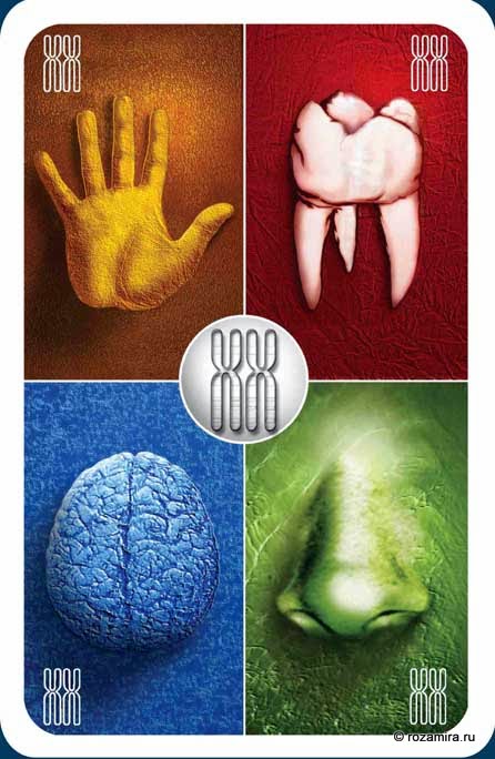Individuum Universal Tarot