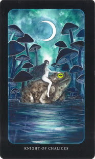 Pythonic Tarot