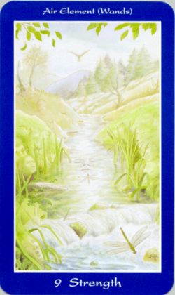 Shapeshifter Tarot