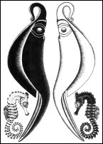 Ironwing Tarot