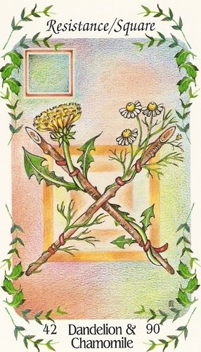 Flower Speaks Deck