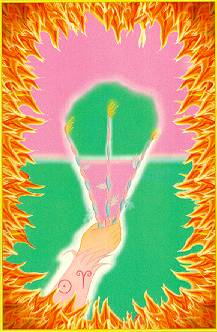 Aura Soma Tarot
