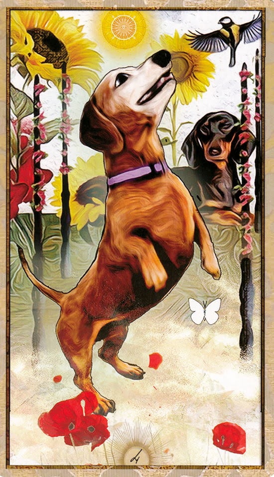 Wise Dog Tarot
