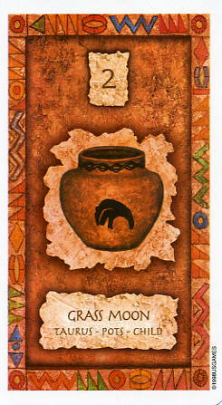 Shaman Wisdom Cards