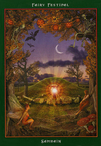 Fairy Ring Oracle