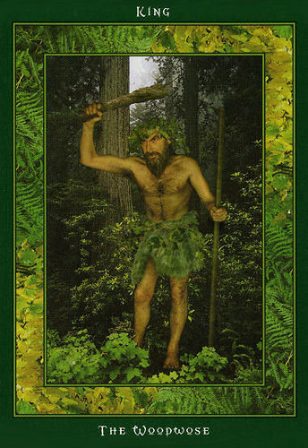 Fairy Ring Oracle