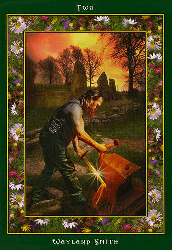 Fairy Ring Oracle