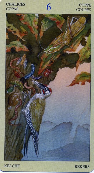 Native American Tarot by Laura Tuan