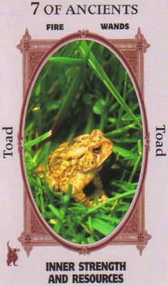 Animal Wise Tarot