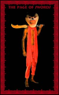 Curious Tarot