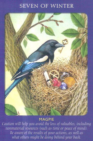 Animal Tarot Cards