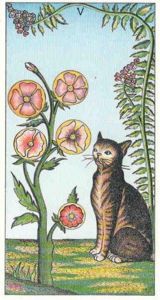 Chat-Cats