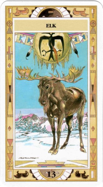Native American Cards - Laura Tuan & Massimo Rotundo