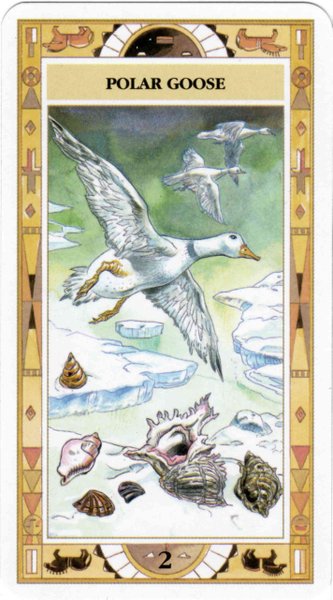 Native American Cards - Laura Tuan & Massimo Rotundo