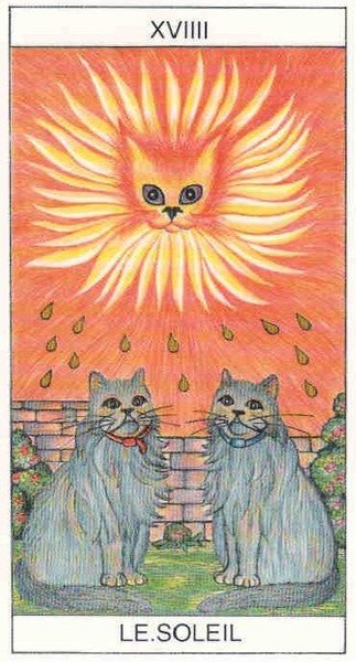 Chat-Cats