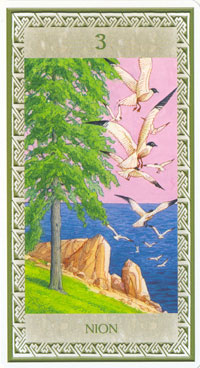 Celtic Oracle
