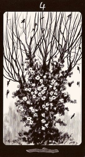 Tarot of the Secret Forest