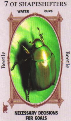Animal Wise Tarot