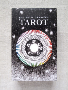 wild_unknown_tarot_2_large