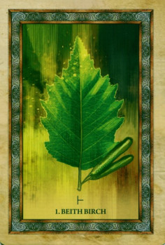 1 Celtic Tree Oracle